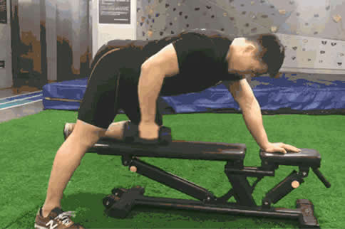 Dumbbell lateral extension and flexion