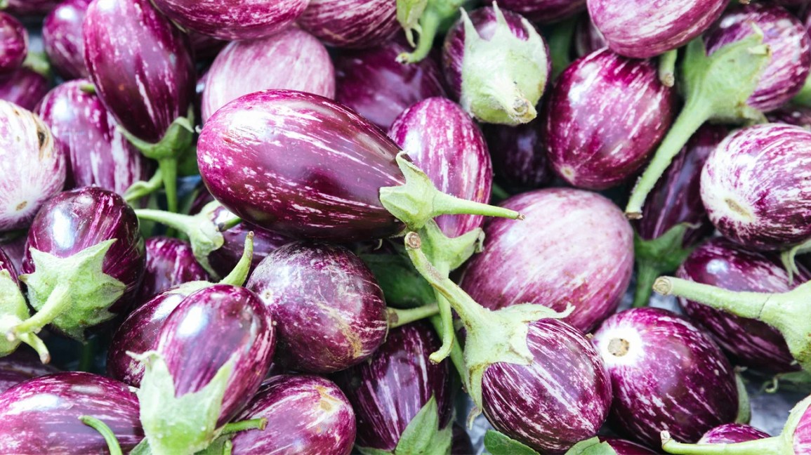 Eggplants