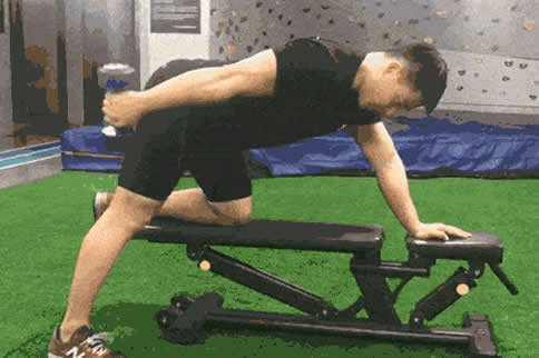 Dumbbell lateral flexion and extension